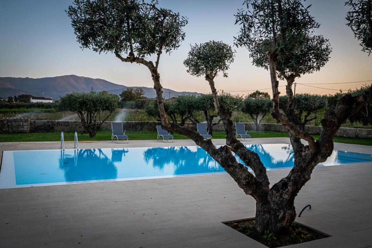 Quinta Das Oliveiras Turismo Rural Fundão Buitenkant foto