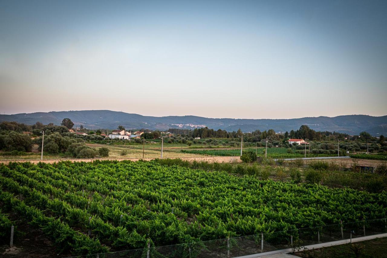 Quinta Das Oliveiras Turismo Rural Fundão Buitenkant foto