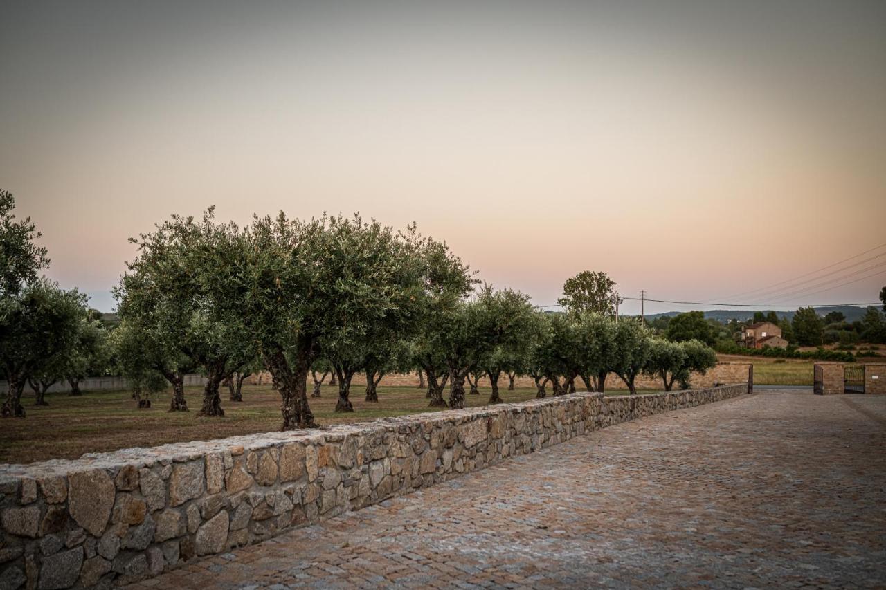 Quinta Das Oliveiras Turismo Rural Fundão Buitenkant foto